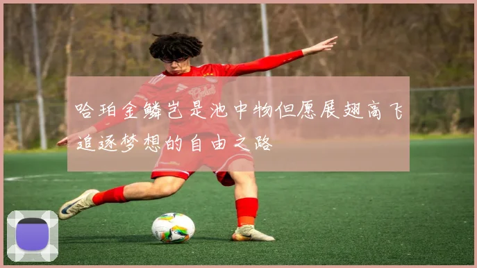 哈珀金鳞岂是池中物但愿展翅高飞追逐梦想的自由之路